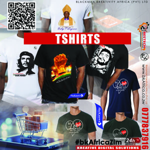 bkAfricaZim Product: Standard Event T-Shirt (Bulk)